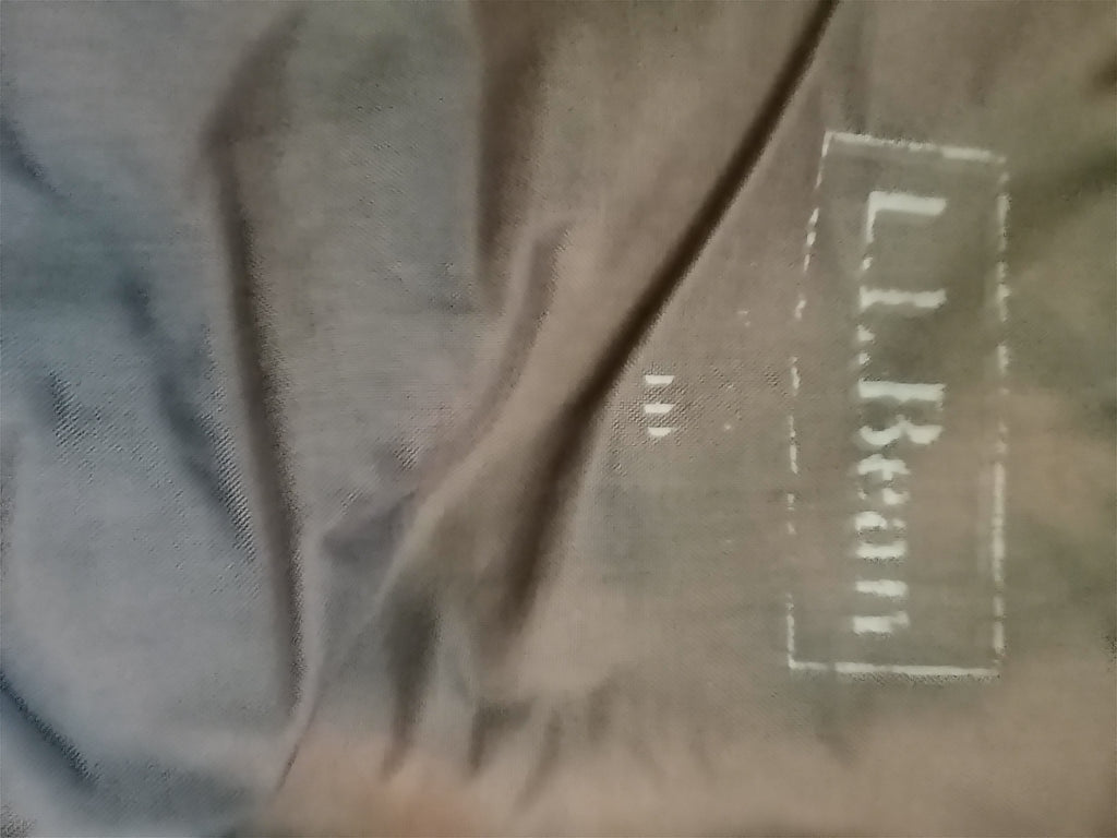 Snow pants L.L.bean size 10-12