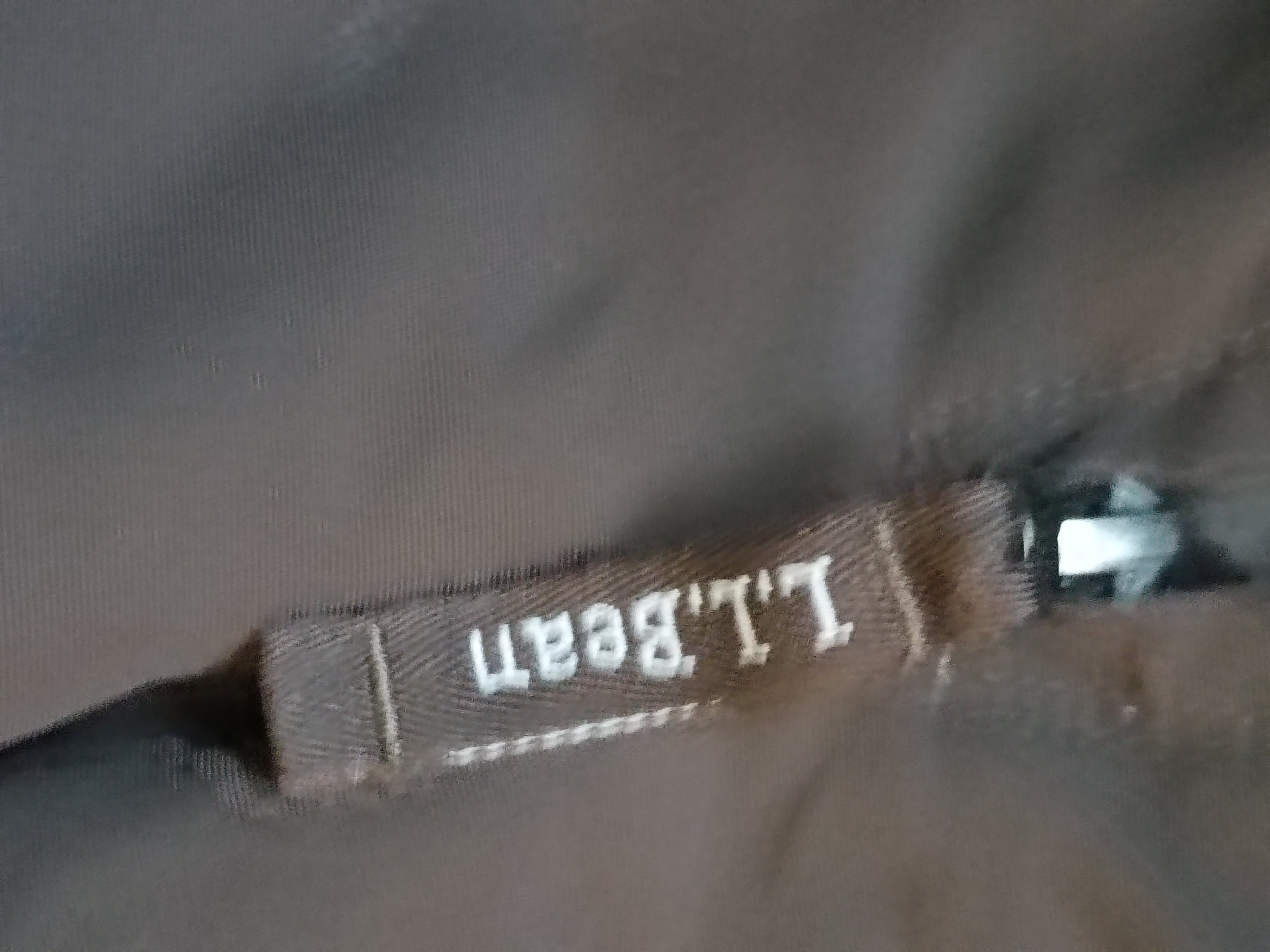 Snow pants L.L.bean size 10-12