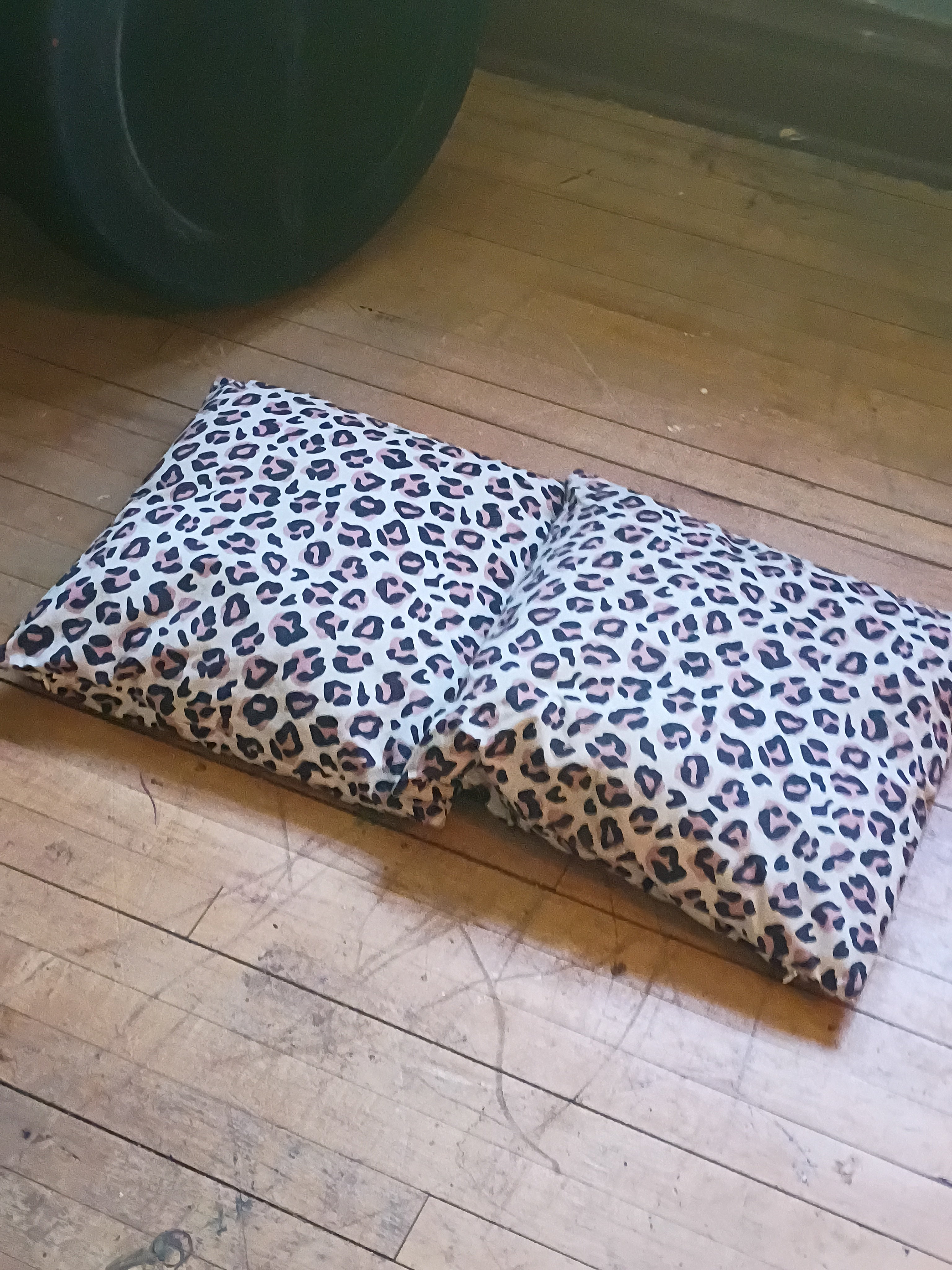 Couch pillows