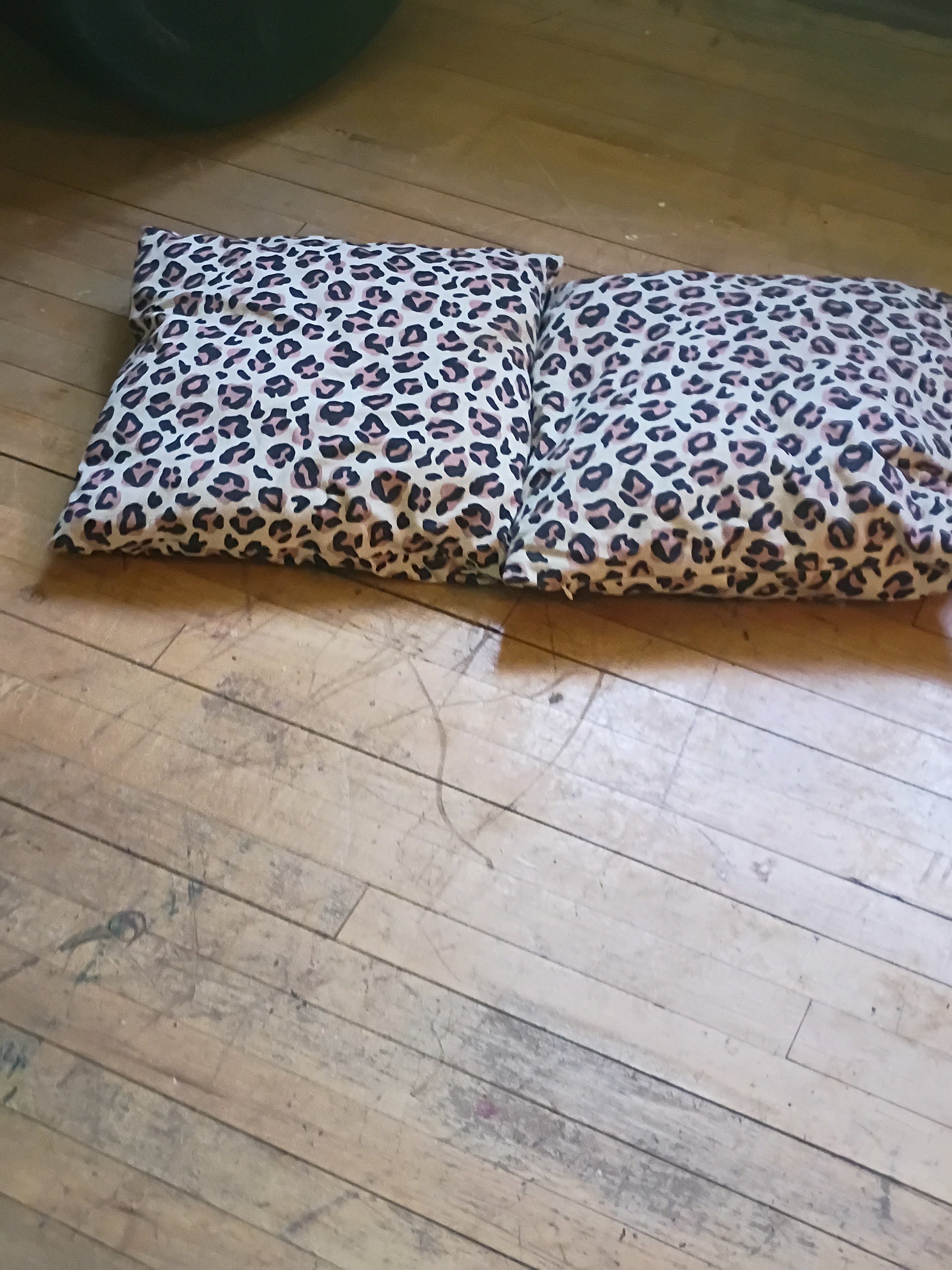 Couch pillows